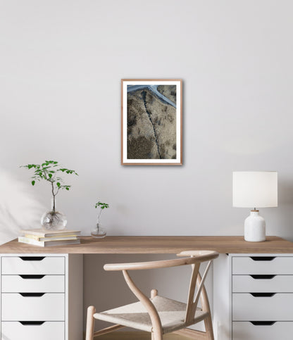 Soft - Fine Art Print
