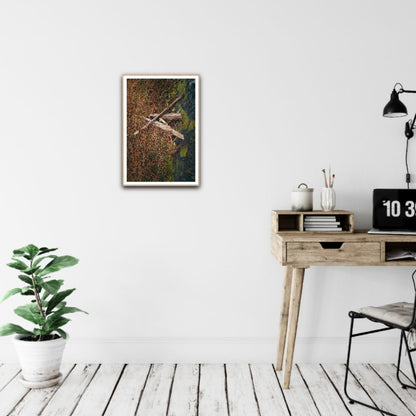 Ophelia - Fine Art Print