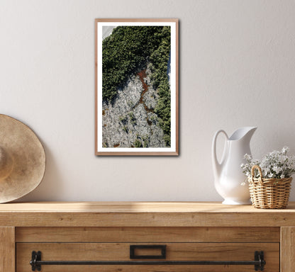 Jurassic - Fine Art Print