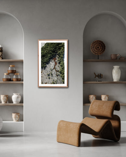 Jurassic - Fine Art Print