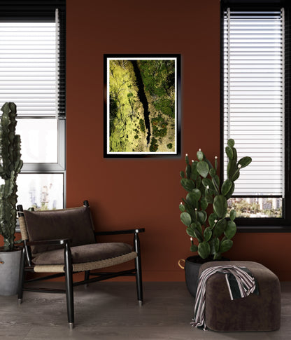 Swamp - Fine Art Print