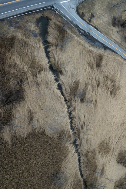 Soft - Fine Art Print