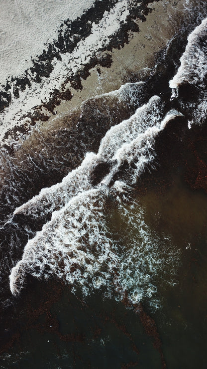 Cookies & Cream - Fine Art Print