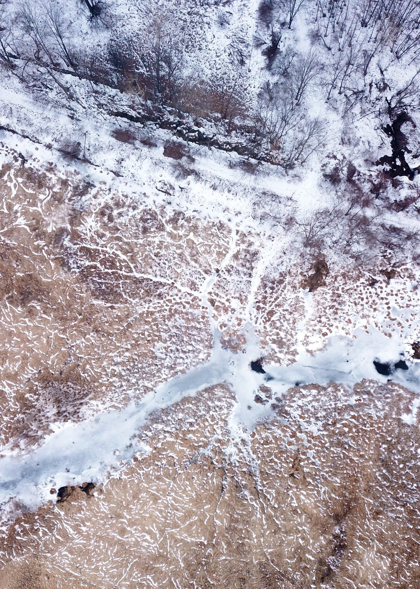 Frosted Earth - Fine Art Print