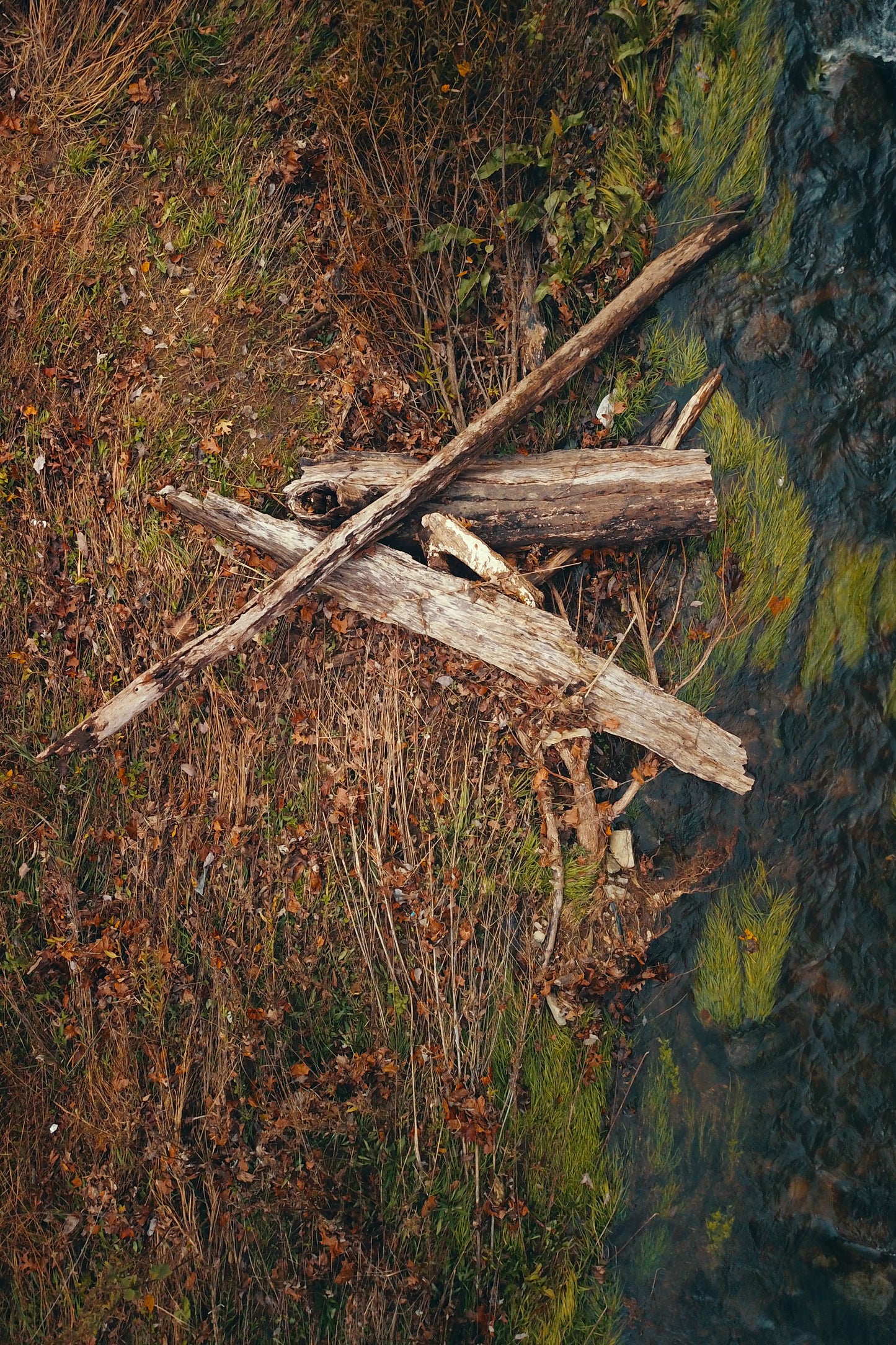 Ophelia - Fine Art Print