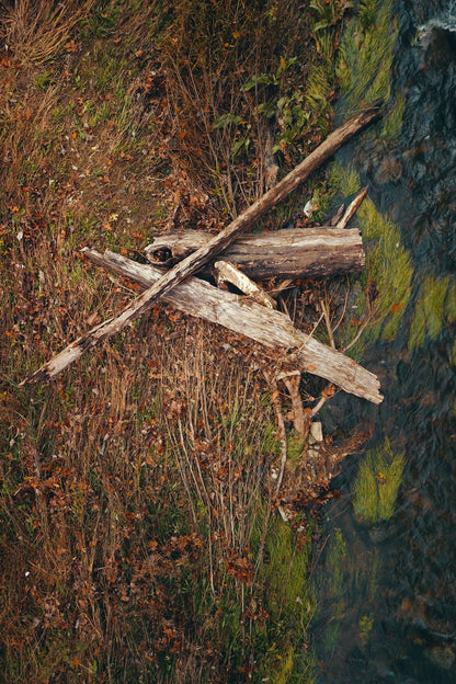 Ophelia - Fine Art Print