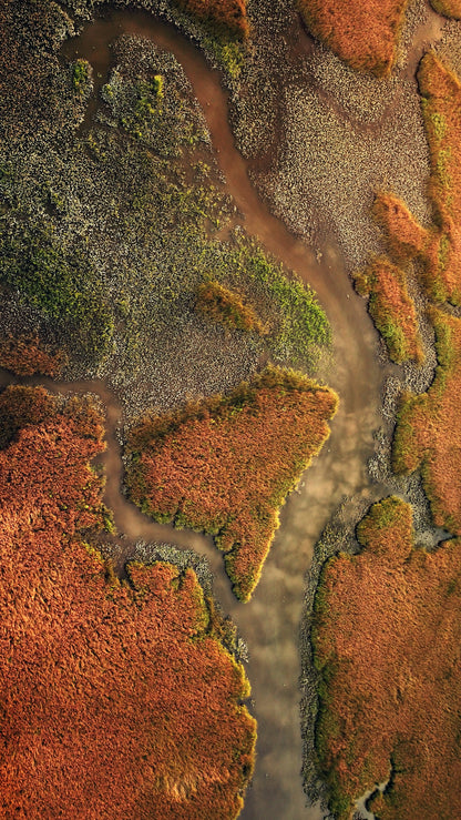 Tivoli Dawn - Fine Art Print